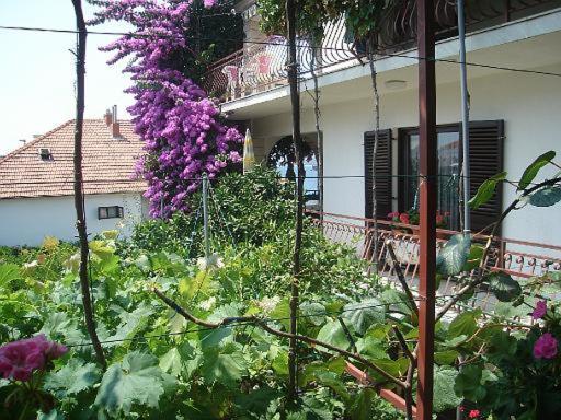 Apartment Knez Trogir Ngoại thất bức ảnh